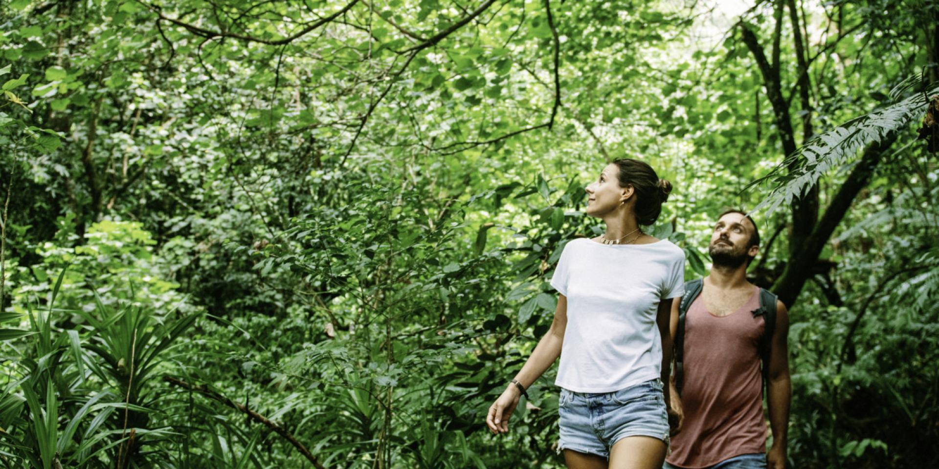 Couple En Randonnée à Moorea © Myles Mcguinness