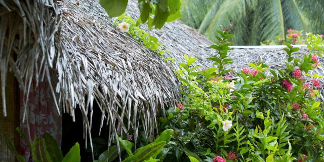 Fare Huahine - © Tahiti Tourisme