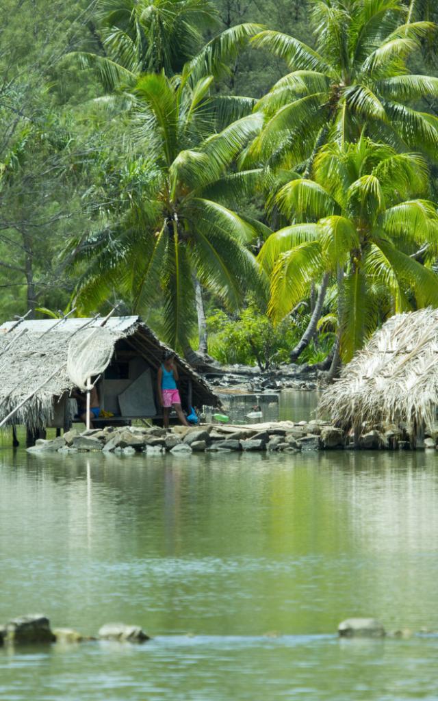 Fare Potee Sur L'eau Huahine