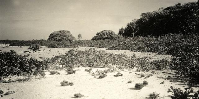 Îles Maria En Polynésie Française - Tahiti Heritage