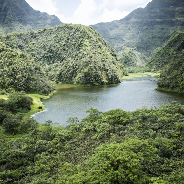 tahiti; papenoo; vaihiria