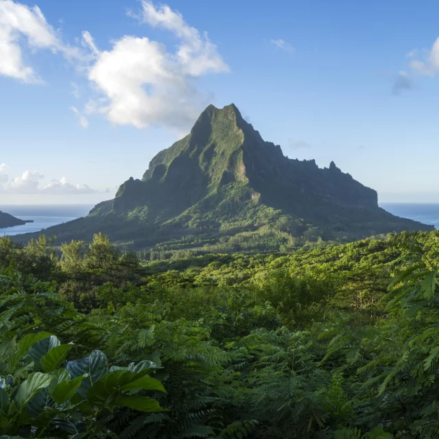 Mont Rotui à Moorea