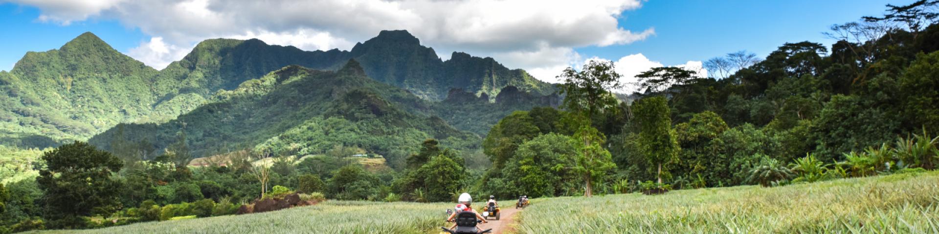 Quad dans les champs d'ananas à Moorea - Tahiti Tourisme © Stéphane Mailion Photography