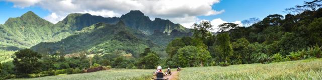 Quad in the Pineapple Fields in Moorea - Tahiti Tourisme © Stéphane Mailion Photography