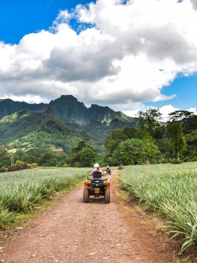 Quad in the Pineapple Fields in Moorea - Tahiti Tourisme © Stéphane Mailion Photography