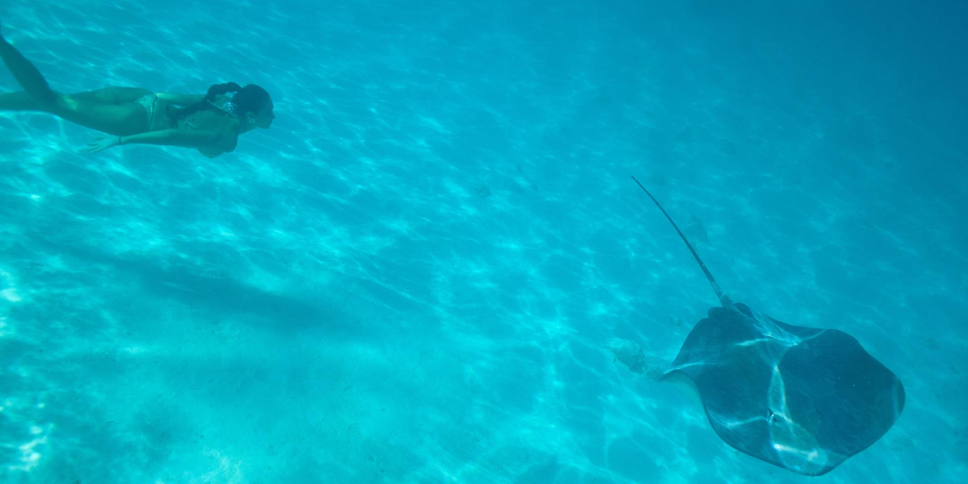 Plongée Moorea © Tahiti Tourisme