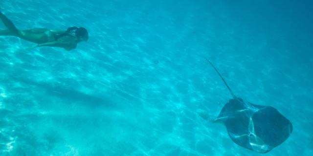 Diving in the lagoon of Moorea