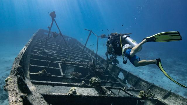 Plongée Sous Marine à Proximité D'une épave De Bateau © Mark Fitz