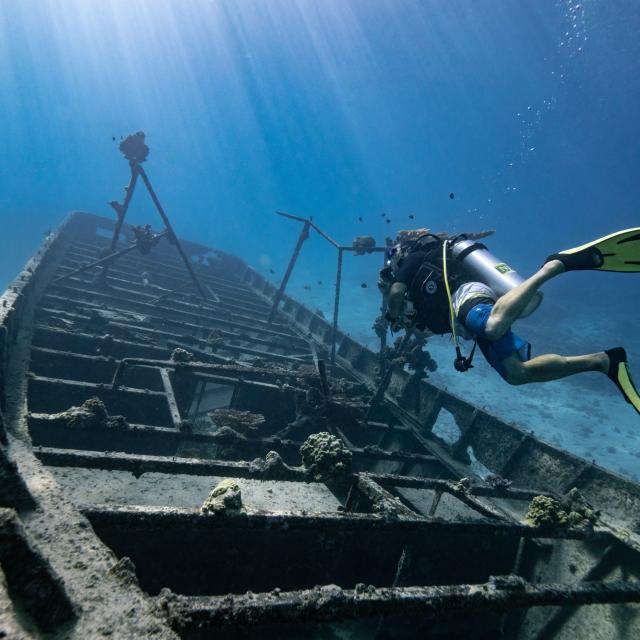 Plongée Sous Marine à Proximité D'une épave De Bateau © Mark Fitz