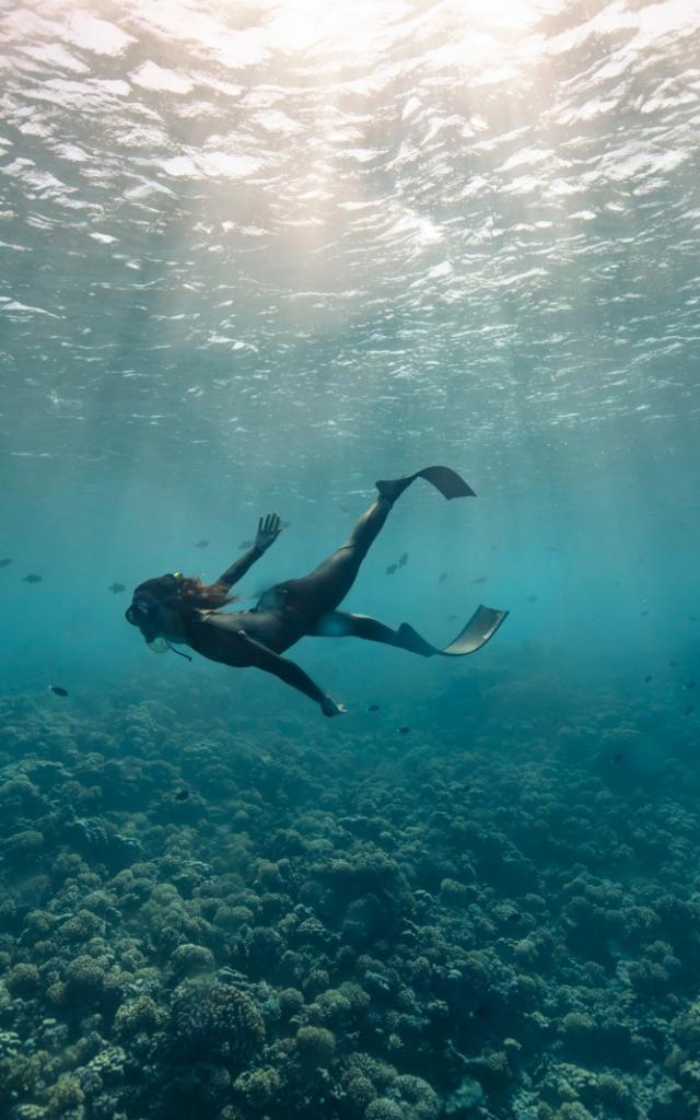 Plongeur à Fakarava - © Alexandre Voyer