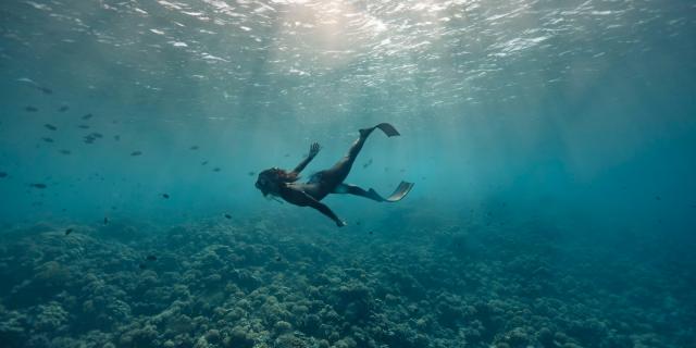 Diver in Fakarava - Tahiti Toursime