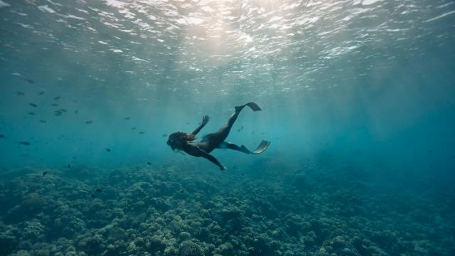 Diver in Fakarava - Tahiti Toursime