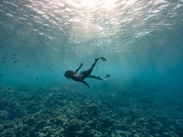 Plongeur à Fakarava - © Alexandre Voyer