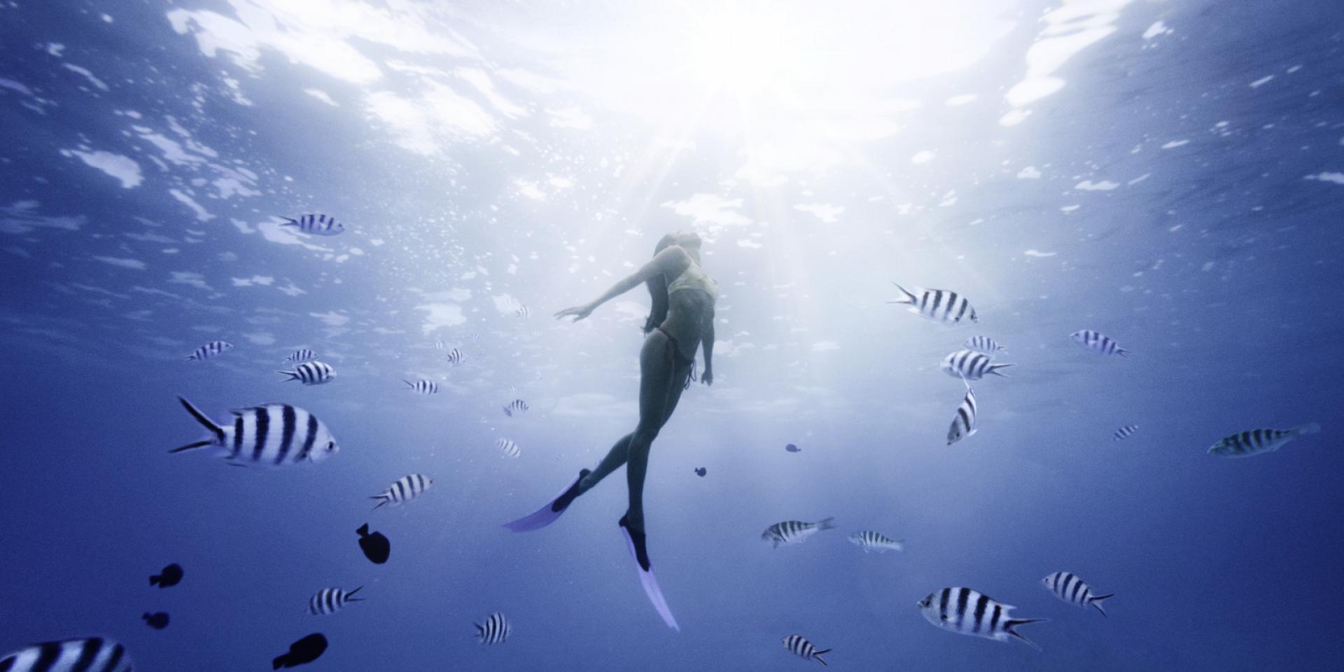 Swimming With Fish in Moorea Tahiti Tourisme © Myles Mcguinness