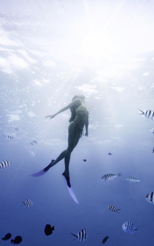 Sous L'eau Avec Les Poissons à Moorea Tahiti Tourisme © Myles Mcguinness