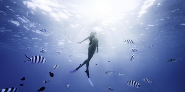 Sous L'eau Avec Les Poissons à Moorea Tahiti Tourisme © Myles Mcguinness