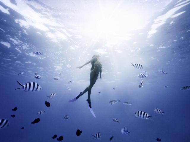 Sous L'eau Avec Les Poissons à Moorea Tahiti Tourisme © Myles Mcguinness