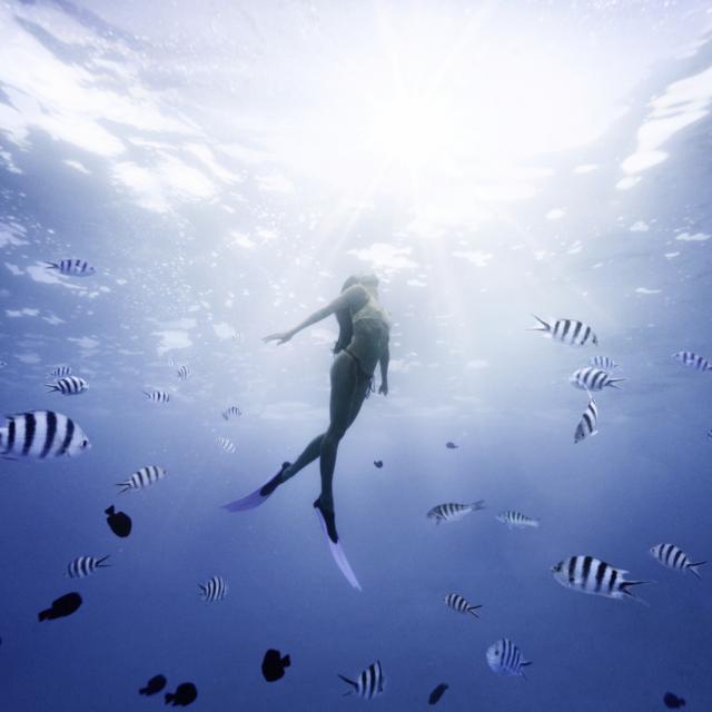 Sous L'eau Avec Les Poissons à Moorea Tahiti Tourisme © Myles Mcguinness