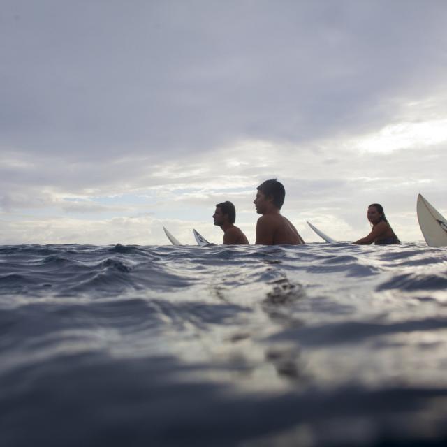 Surfing in Moorea