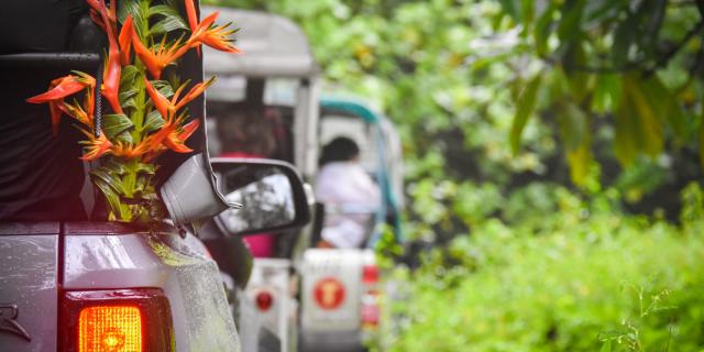 Tere Na Uta I Papenoo - Tahiti Tourisme © Teriitua Maoni