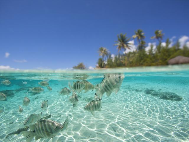 Tikehau Lagoon - Tahiti Tourisme ©Tahiti Tourisme