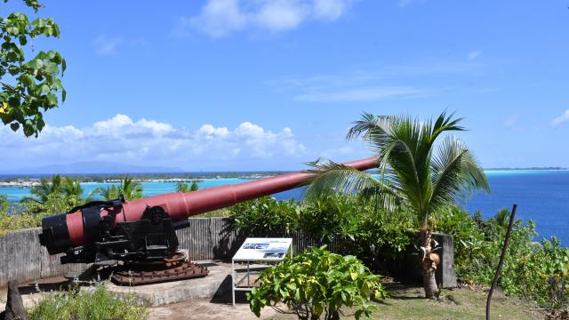 Profil D'un Canon Militaire Sur Le Site Ha'amaire à Bora Bora - Association Mémoire Polynésienne