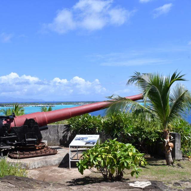 Profil D'un Canon Militaire Sur Le Site Ha'amaire à Bora Bora - Association Mémoire Polynésienne