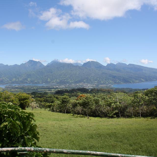 Vue depuis le Belvédère de Taravao ©asf Alesimedia