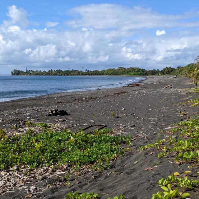 Plage Tautira