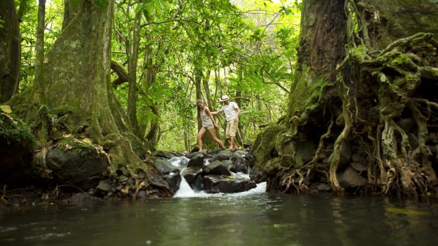 P2 02 Moorea 00537 1440x960