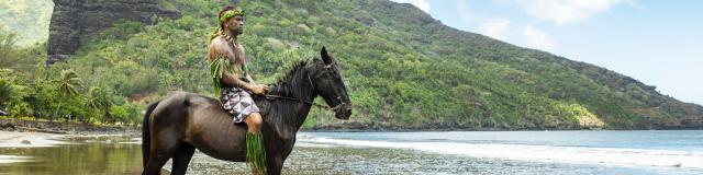 Horse in Nuku Hiva