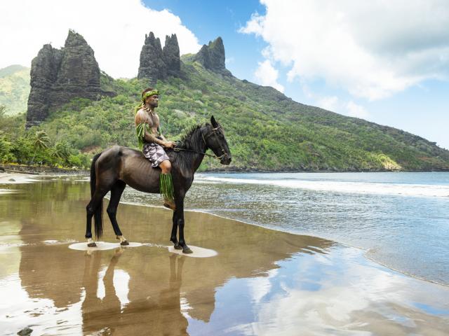 Horse in Nuku Hiva