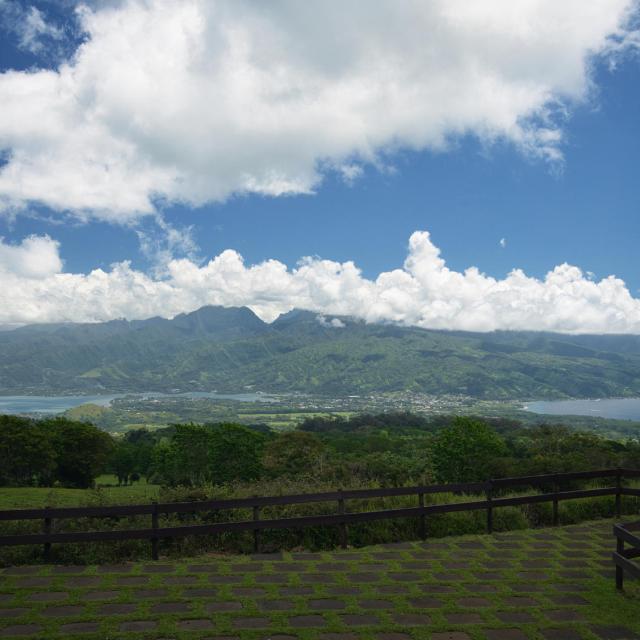 P2 Tahiti Tahiti Belvédère Taravao Paysage Tahiti Tourisme © Kristiyan Markov 1690x1127