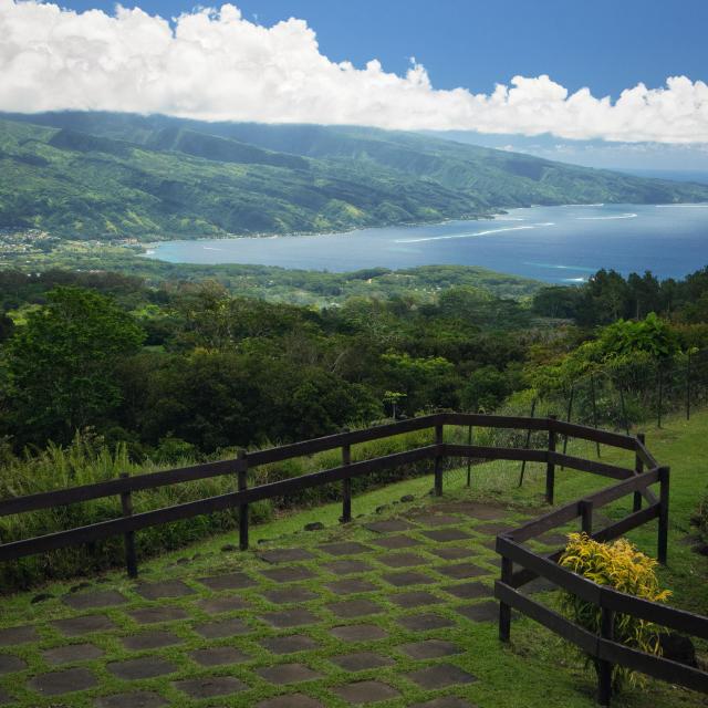 P2 Tahiti Tahiti Belvédère Taravao Portrait Tahiti Tourisme © Kristiyan Markov 1882x2821