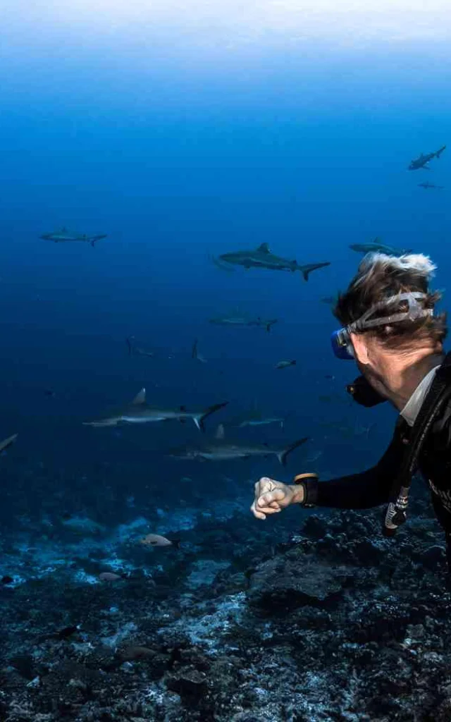 Mur De Requin Tuamotu Fakarava