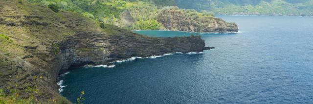P2_08-HIVA-OA-00288-1427x945-1.jpg