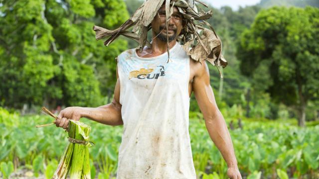 Agriculteur à Rurutu