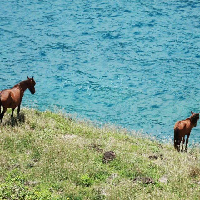 P2_08_Ua_Huka_750A3322_-Tahiti-Tourisme-1500x1000-1.jpg