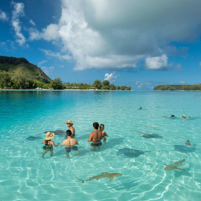 P2 Moorea 00115 Moorea © Grégoire Le Bacon 2048x1366