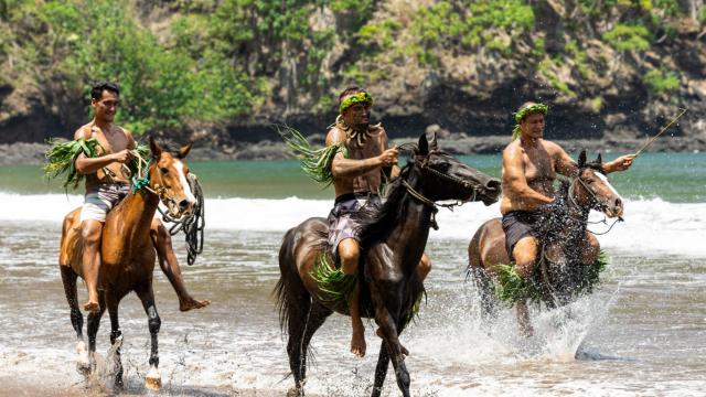 P2_NUKU_HIVA_00336_NUKUHIVA_-Gregoire-Le-Bacon-1366x2048-1.jpg