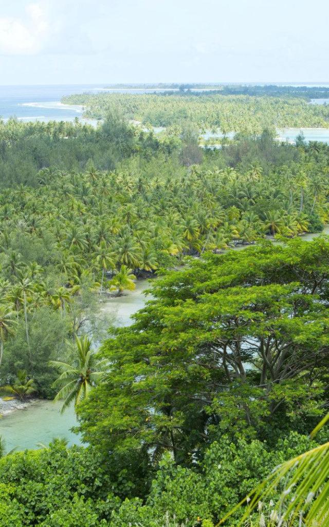 Huahine Ile Sauvage Tahiti Tourisme Bur