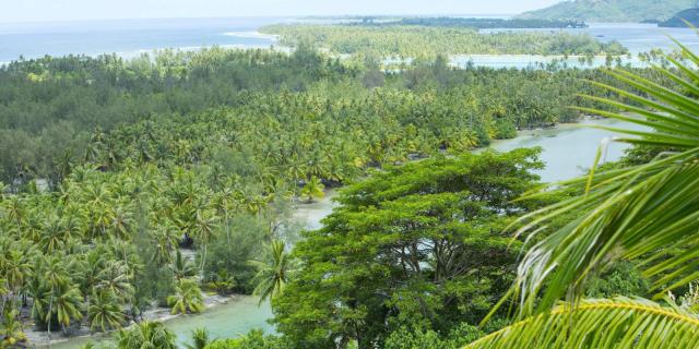 Huahine Ile Sauvage Tahiti Tourisme Bur