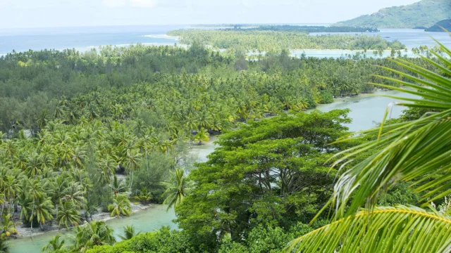 Huahine Ile Sauvage Tahiti Tourisme Bur