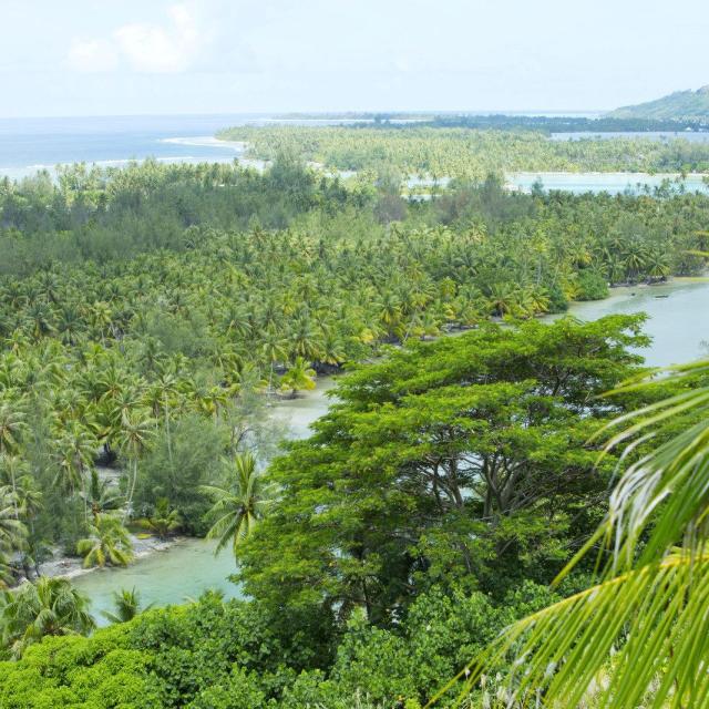 Huahine Ile Sauvage Tahiti Tourisme Bur