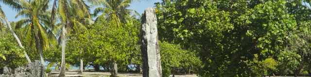 Taputapuatea-2-cop.-Tahiti-Tourisme.jpg