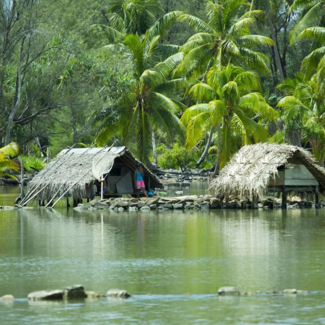 Pièges à poisson à Huahine © Grégoire Le Bacon