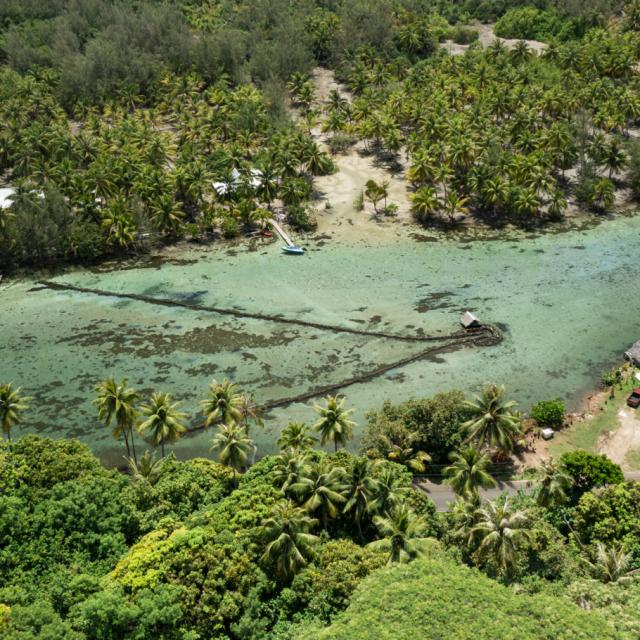 Piège à poisson à Huahine © Grégoire Le Bacon