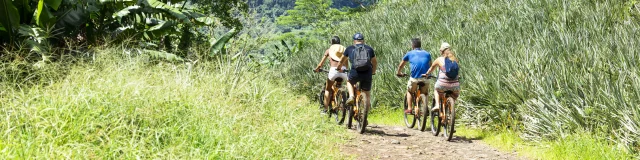 Ride a bike in Moorea