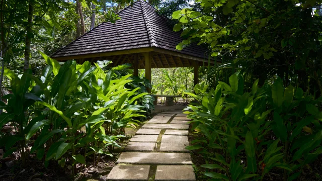 Jardin botanique de Fa'aroa à Raiatea