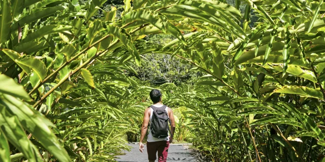 Jardin botanique de Fa'aroa à Raiatea